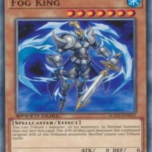 Fog King