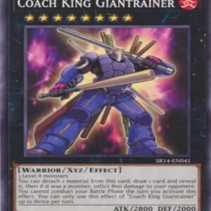 Coach King Giantrainer