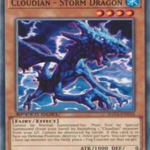 Cloudian –  Storm Dragon
