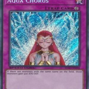 Aqua Chorus