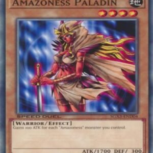Amazoness Paladin