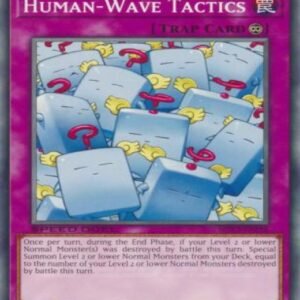 Human-Wave Tactics