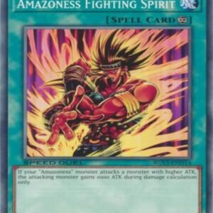 Amazoness Fighting Spirit