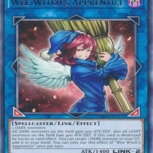 Wee Witch’s Apprentice