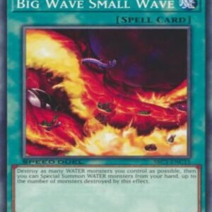 Big Wave Small Wave