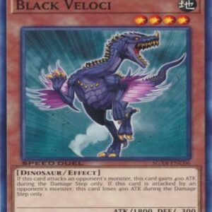 Black Veloci