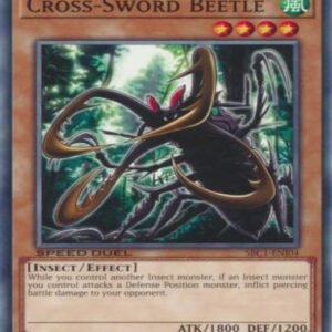 Cross-Sword Beetle