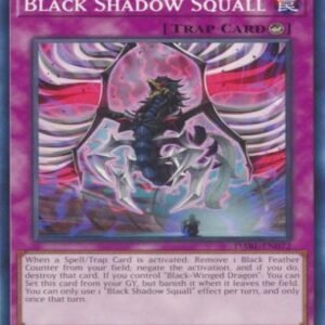 Black Shadow Squall