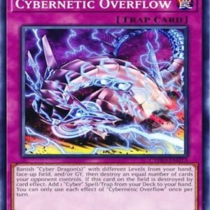 Cybernetic Overflow