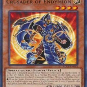 Crusader of Endymion