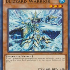 Blizzard Warrior