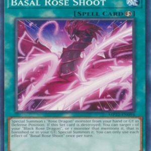Basal Rose Shoot