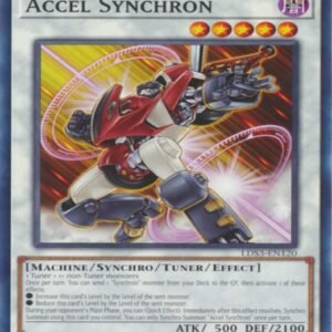 Accel Synchron