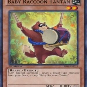 Baby Raccoon Tantan