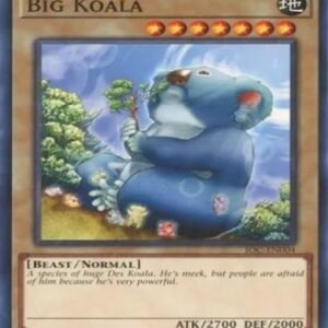 Big Koala