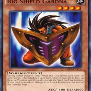 Big Shield Gardna