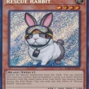 Rescue Rabbit