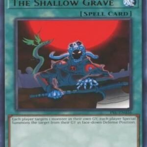 The Shallow Grave