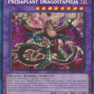 Predaplant Dragostapelia