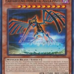 Earthbound Immortal Aslla piscu