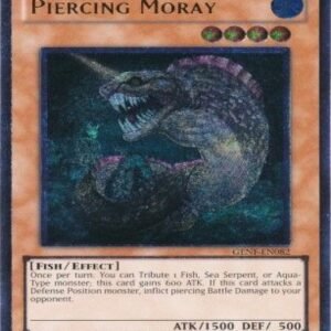 Piercing Moray