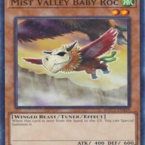 Mist Valley Baby Roc