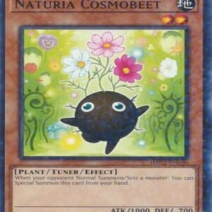 Naturia Cosmobeet