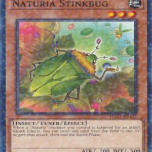 Naturia Stinkbug
