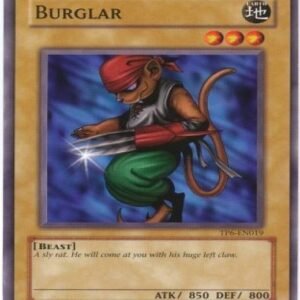 Burglar