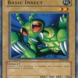 Basic Insect