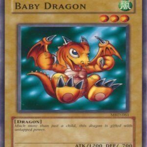 Baby Dragon