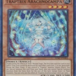 Traptrix Arachnocampa