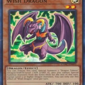 Wish Dragon