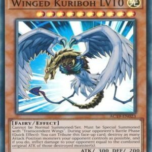 Winged Kuriboh LV10