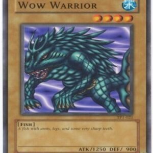 Wow Warrior