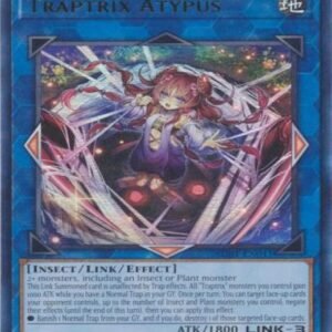 Traptrix Atypus