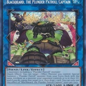 Blackbeard, the Plunder Patroll Captain