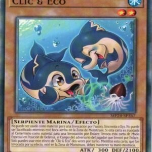 Click & Echo