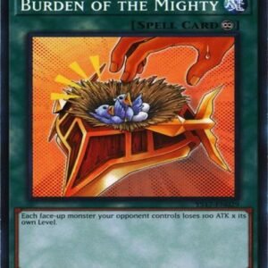 Burden of the Mighty