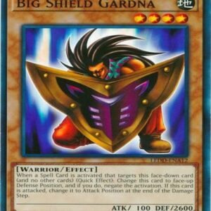 Big Shield Gardna