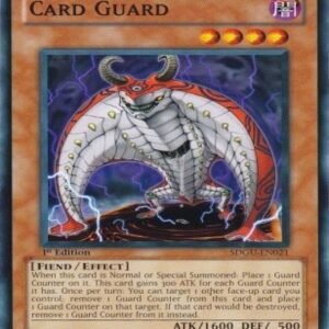 Card Guard