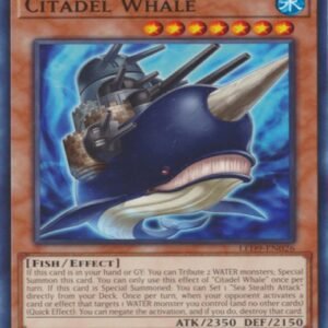 Citadel Whale