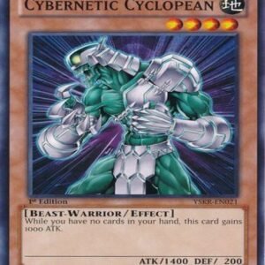 Cybernetic Cyclopean