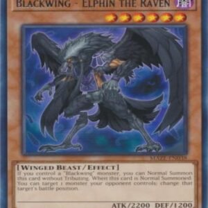 Blackwing – Elphin the Raven