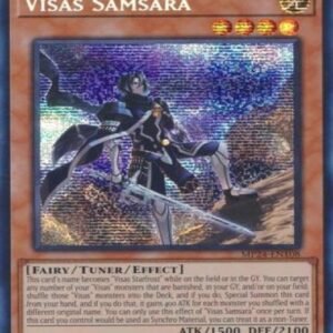 Visas Samsara