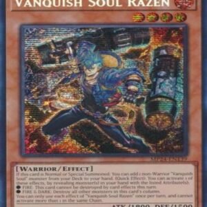 Vanquish Soul Razen