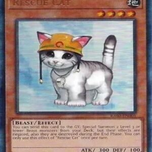 Rescue Cat
