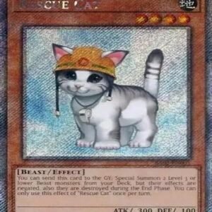 Rescue Cat