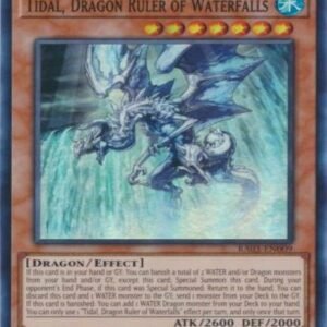 Tidal, Dragon Ruler of Waterfalls
