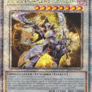 Enlightenment Paladin